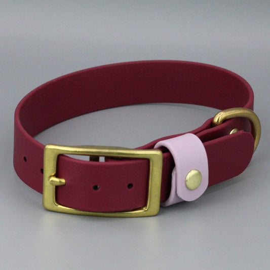 Styledog Wonderland Hundehalsband "Gold Edition" Biothane