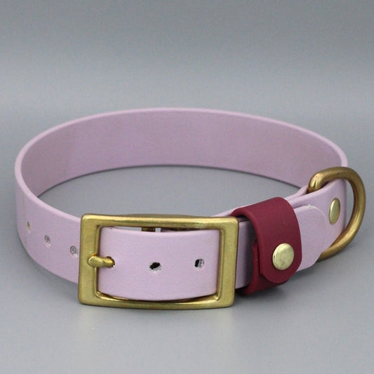 Styledog Wonderland Hundehalsband "Gold Edition" Biothane