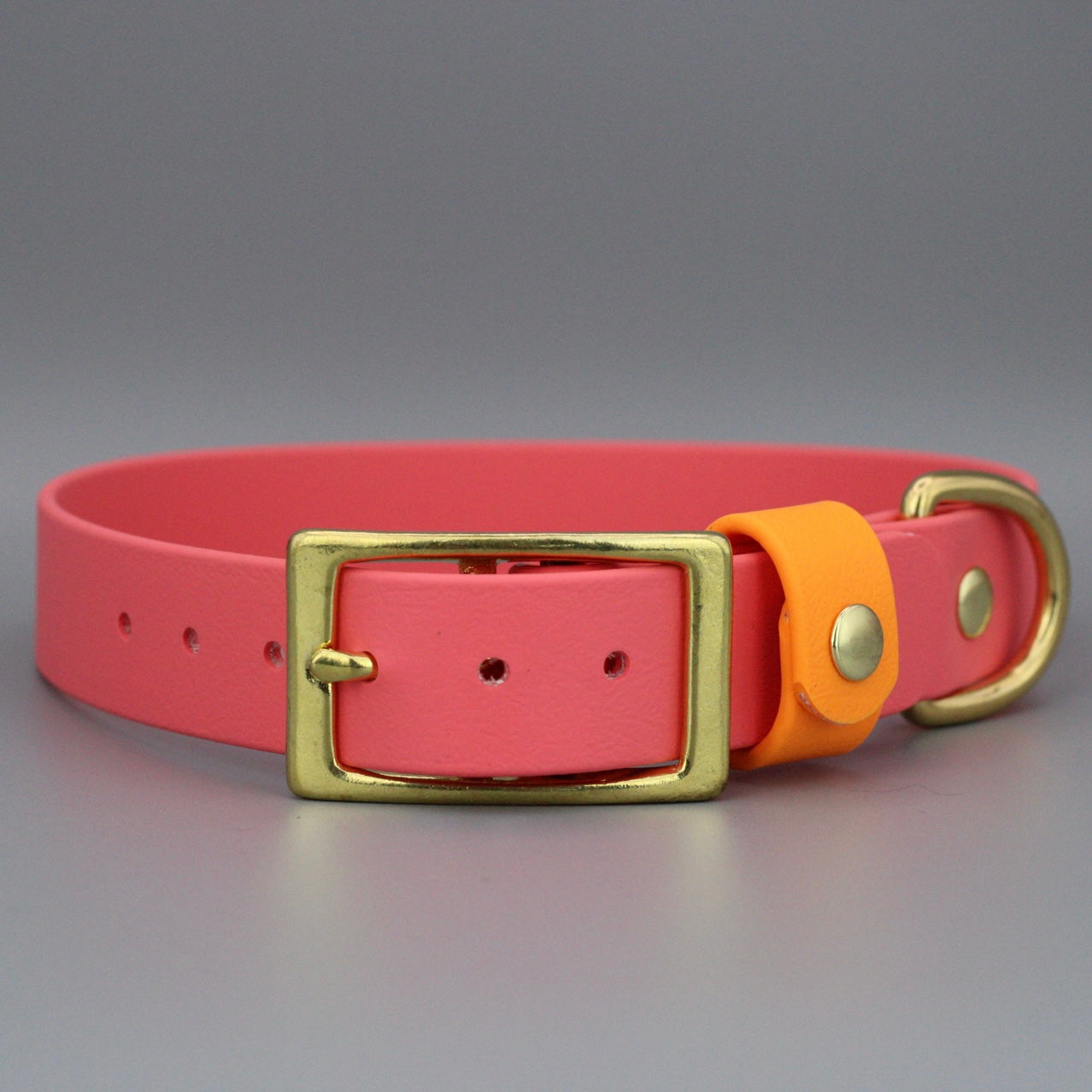 Styledog Wonderland Hundehalsband "Gold Edition" Biothane