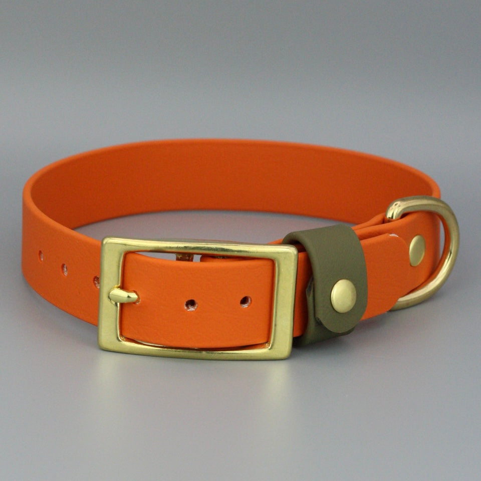 Styledog Wonderland Hundehalsband "Gold Edition" Biothane