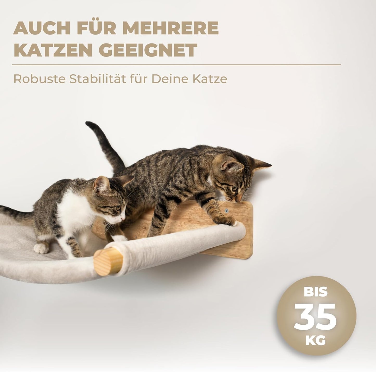 WOOWOOD® Katzenhängematte inkl. 2x Katzentreppen