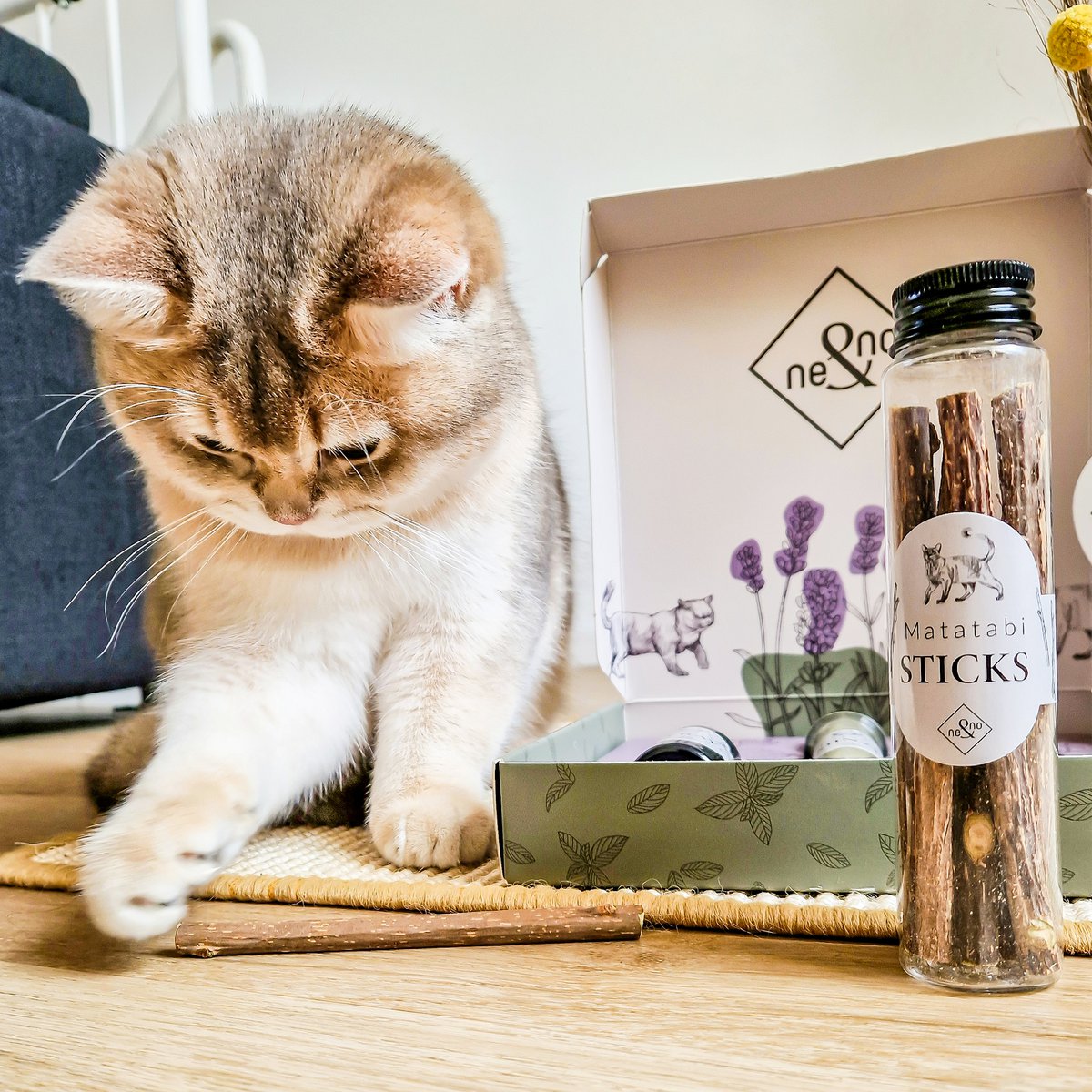 Geschenkset Katzen Wohlfühlkräuter