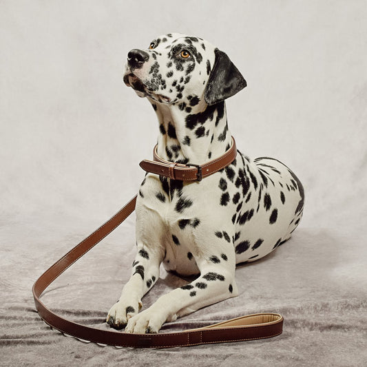 ne&no® Halsband & Leine Set aus veganem Leder – Braun/Beige