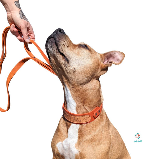 stef stuff Führleine Fettleder PURE