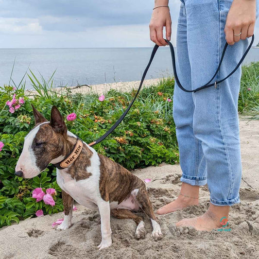 stef stuff City-Leine Fettleder PURE