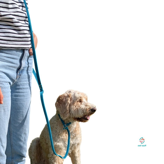 stef stuff Retrieverleine zum Umhängen Fettleder PURE