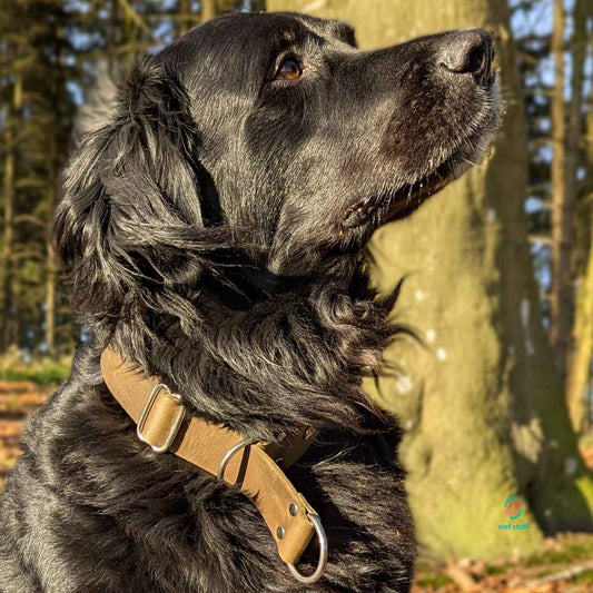 stef stuff Zugstopp Halsband Fettleder PURE