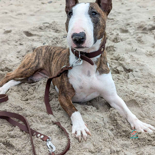 stef stuff 3-fach verstellbare Leine Fettleder PURE