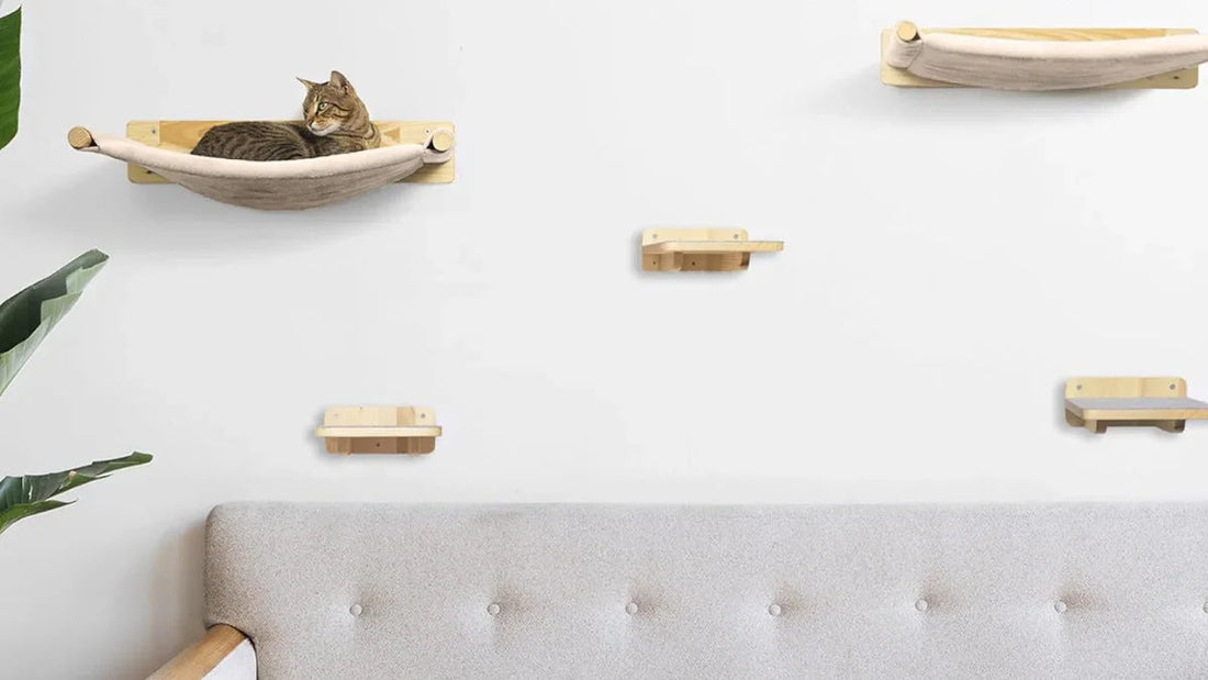 Moderne Katzenhängematte aus Holz an Wand, Katze entspannt, stilvolle Kletterwand für Katzen über Sofa