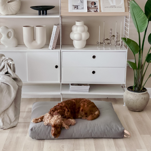 Hundebetten im Skandinavischem Design