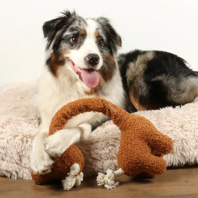 Hund auf flauschigem Hundebett mit braunem Hundespielzeug, Pawla Petstore Haustierzubehör