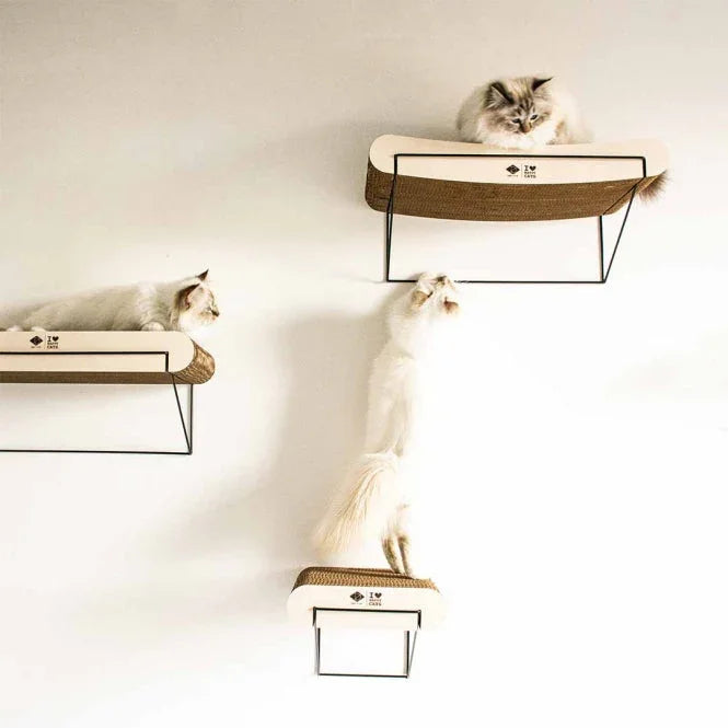 Drei Katzen auf modernet, gebogenet Kletterwand aus Pappe von Pawla Petstore