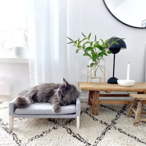 Tierbedarf im Skandi-Look: Langhaarige graue Katze auf modernem Katzenbett, skandinavischer Wohnstil, Pawla Petstore