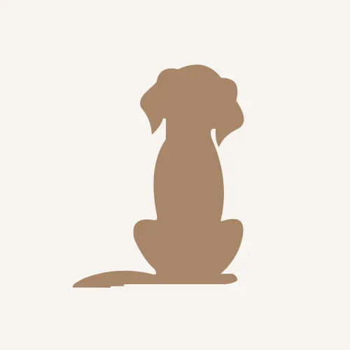 Braune Hundesilhouette auf hellem Hintergrund, modernes Haustierdesign von Pawla Petstore, das für Hundezubehör steht