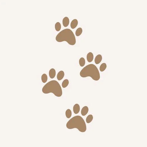 Vier braune Pfotenabdrücke auf weißem Hintergrund, modernes Katzenzubehör von Pawla Petstore