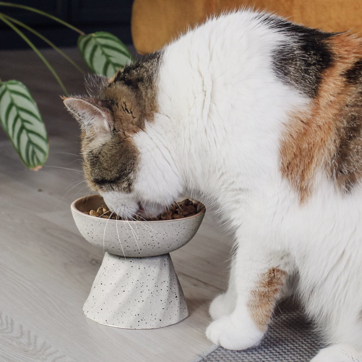 Erhöhter Keramik Futternapf für Katzen