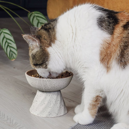 Erhöhter Keramik Futternapf für Katzen