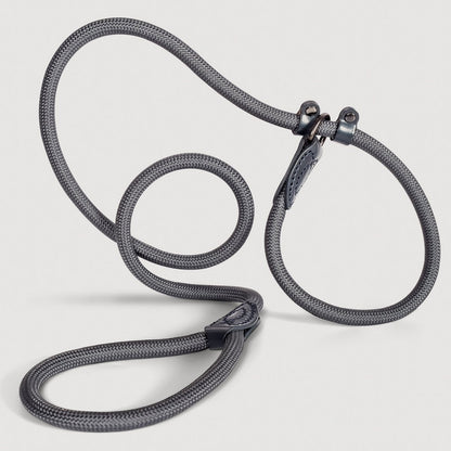 Retrieverleine – Tauleine mit integriertem Halsband