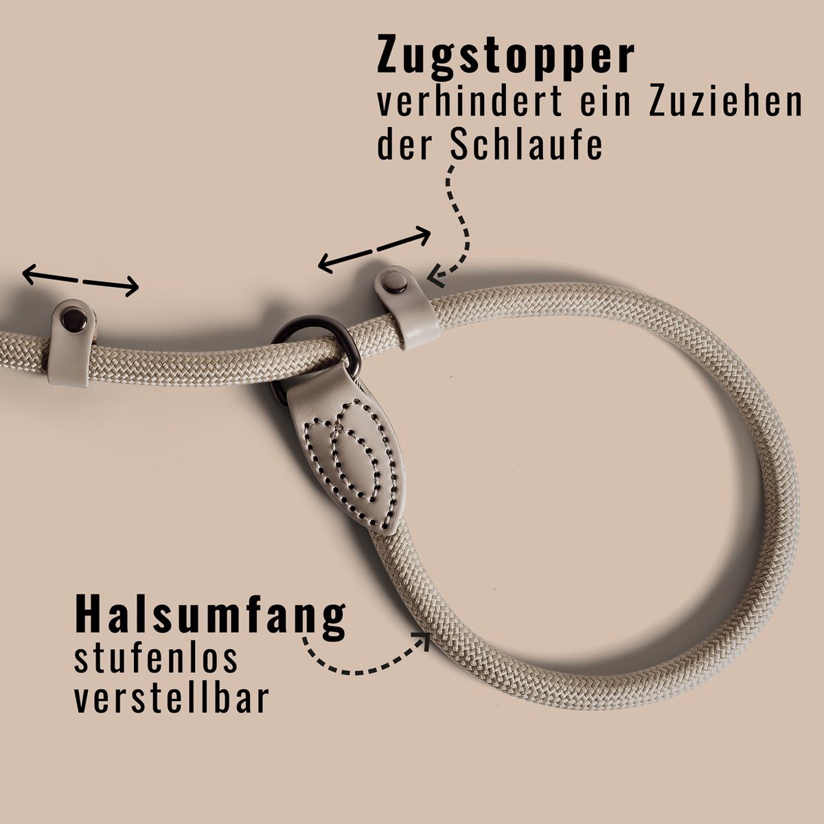 Retrieverleine – Tauleine mit integriertem Halsband