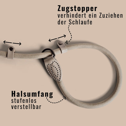 Retrieverleine – Tauleine mit integriertem Halsband