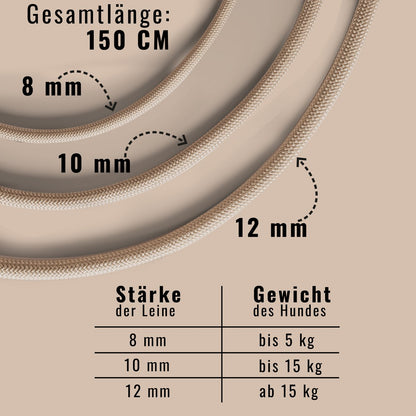 Retrieverleine – Tauleine mit integriertem Halsband