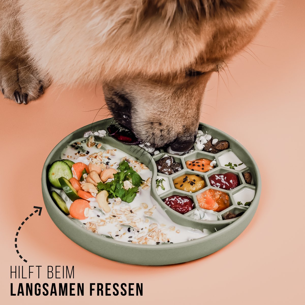 Anti Schling Napf für Hunde und Katzen