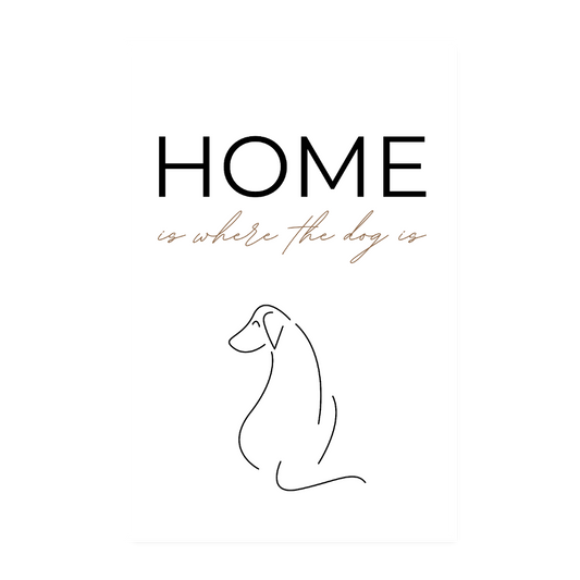 Poster 20x30 cm – Home is where the dog is - Weiß