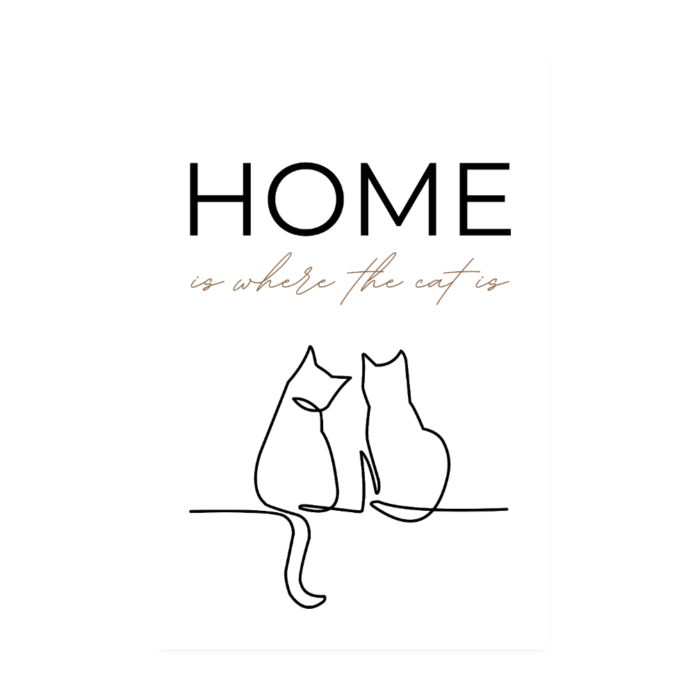 Poster 20x30 cm – Home is where the cat is - Weiß