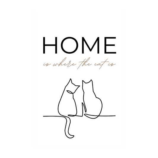 Poster 20x30 cm – Home is where the cat is - Weiß