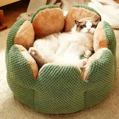 BLOOM Hunde- und Katzenbett