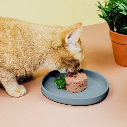 Flache Silikon Futterschale für Katzen