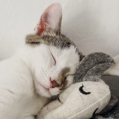 Katzenspielzeug mit Katzenminze 3er Set