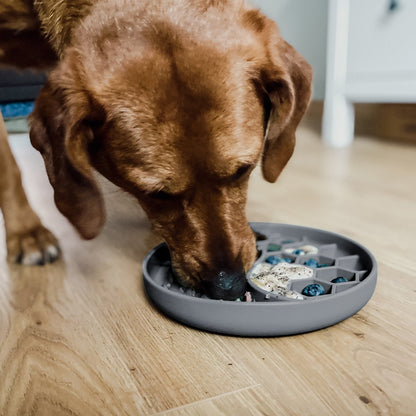 Anti Schling Napf für Hunde und Katzen
