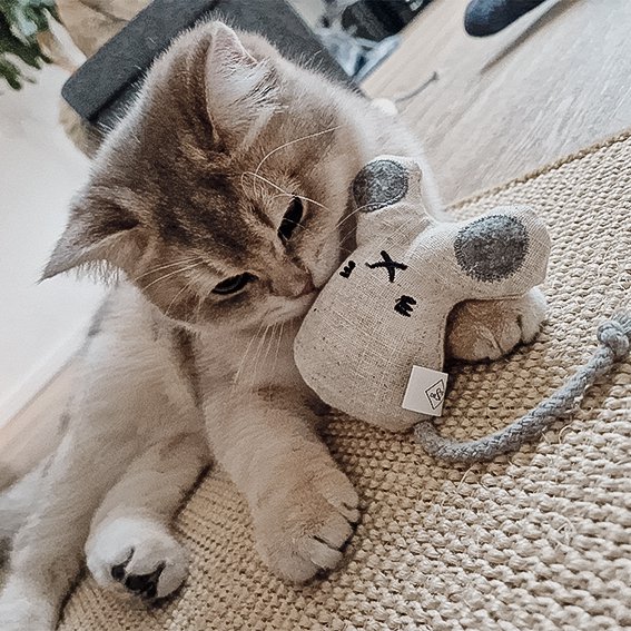 Katzenspielzeug mit Katzenminze 3er Set