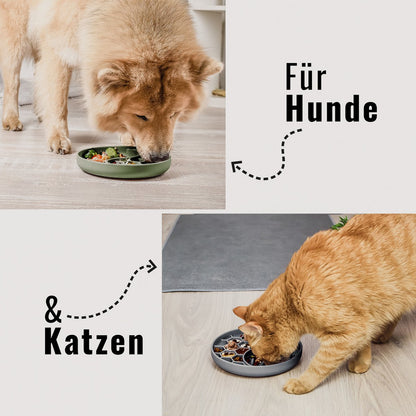 Anti Schling Napf für Hunde und Katzen