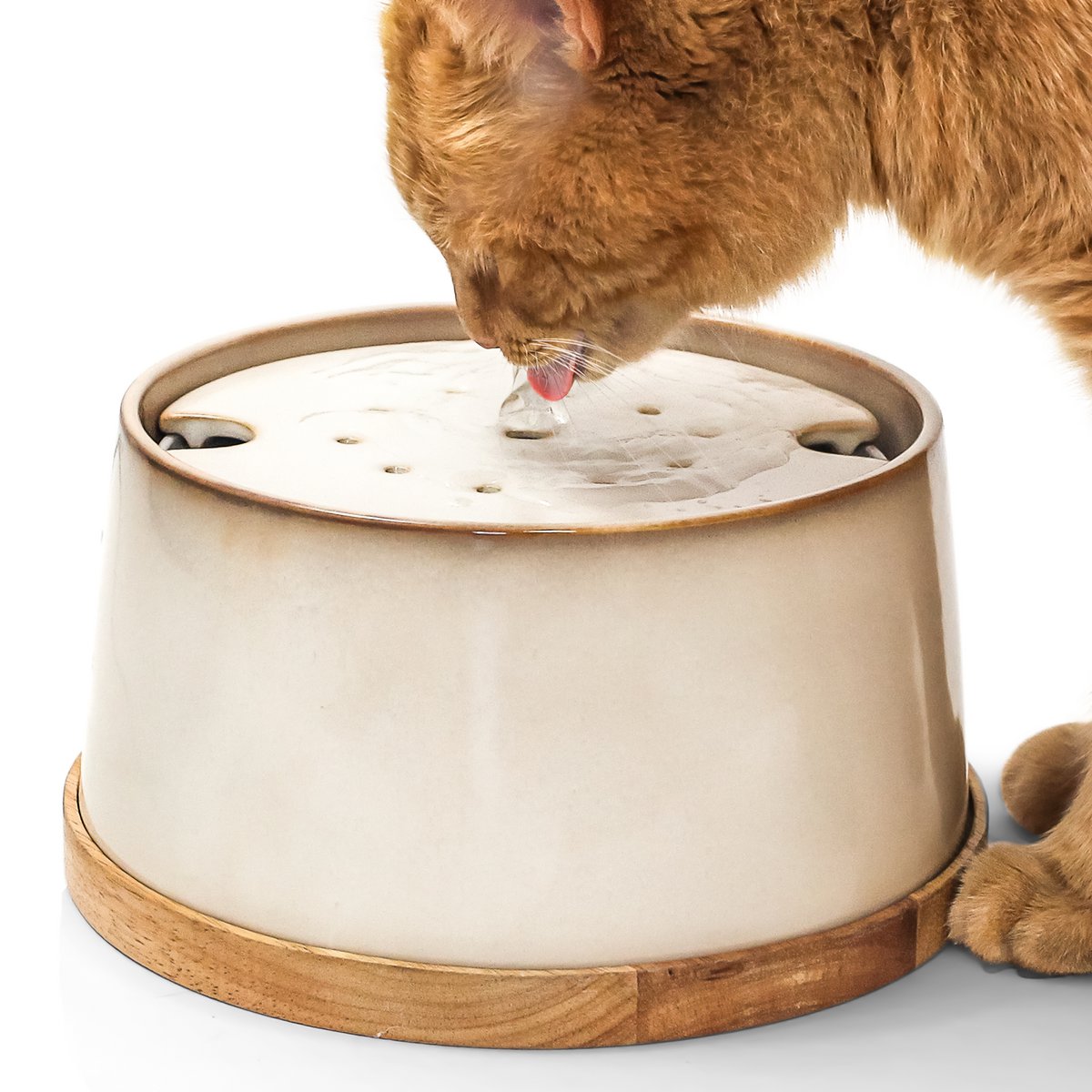 Keramik Trinkbrunnen für Katzen