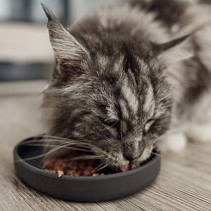 Flache Silikon Futterschale für Katzen