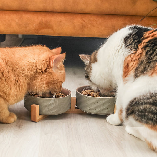 ne&no® Keramik Doppelfutternapf mit Bambusständer
