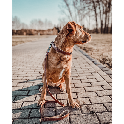 Halsband & Leine Set aus veganem Leder – Braun/Beige