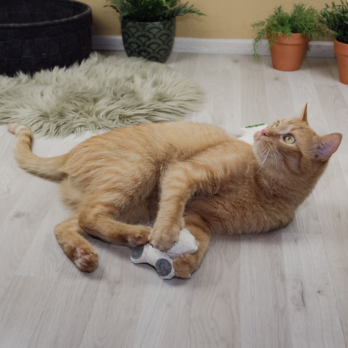 Katzenspielzeug mit Katzenminze 3er Set