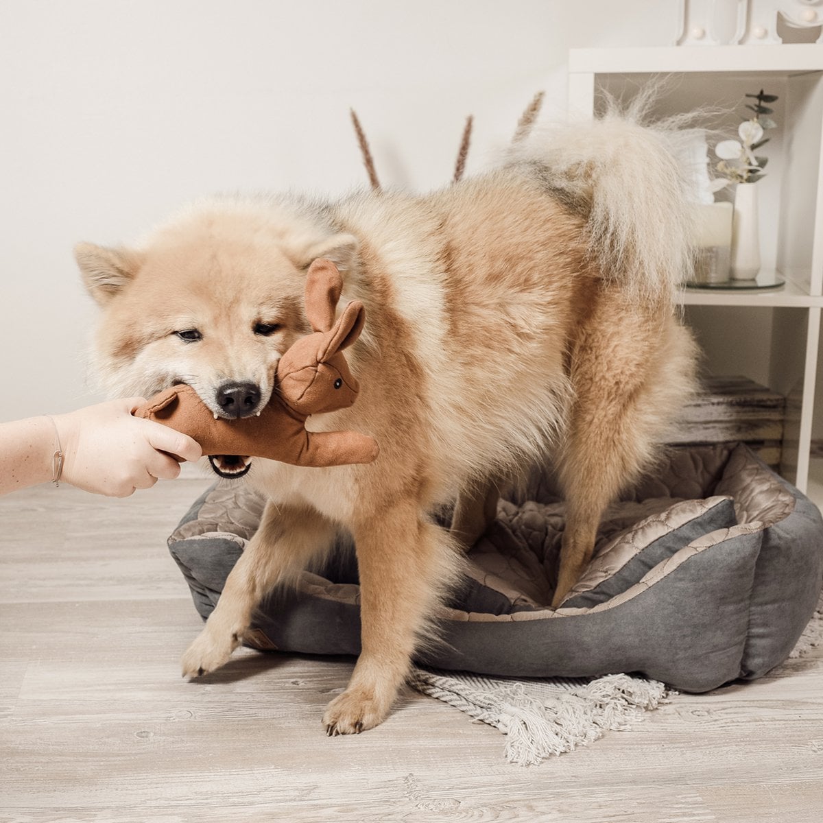 Hundespielzeug mit Quietscher HARU