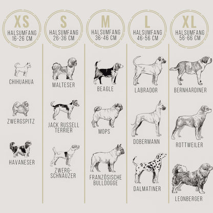 Halsband & Leine Set aus veganem Leder – Blaugrau/Anthrazit