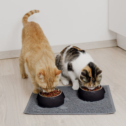 Futternapf 2er Set für Hunde und Katzen – Schwarz