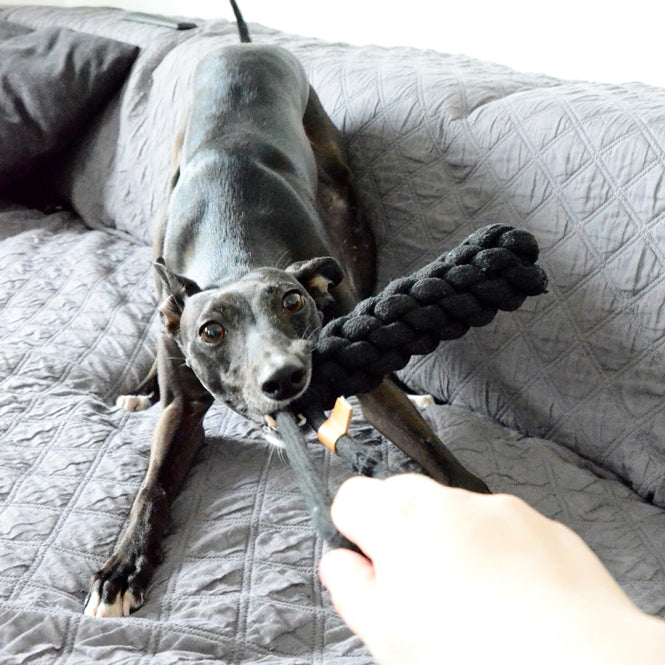 D&D Baumwollkegel Kurt