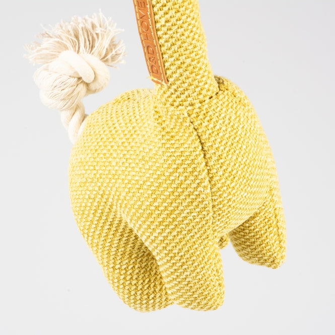 D&D Hundespielzeug George