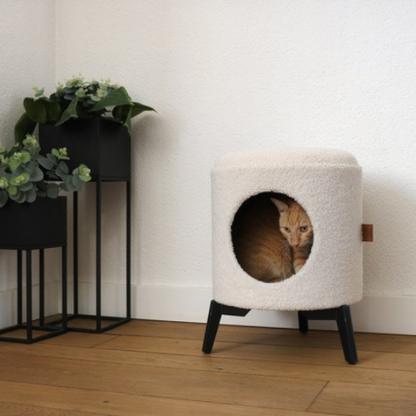 Katzenhaus Jean