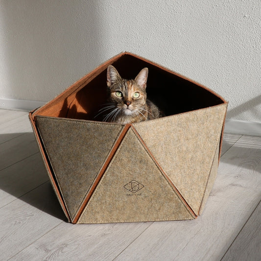Katzenhaus Logan