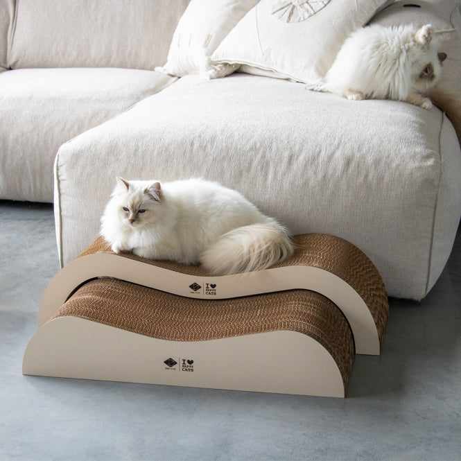 D&D Kratzwelle Archie zweiteilig