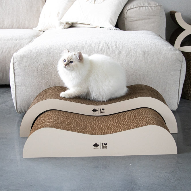 D&D Kratzwelle Archie zweiteilig