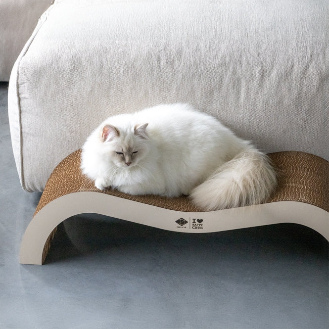 D&D Kratzwelle Archie zweiteilig